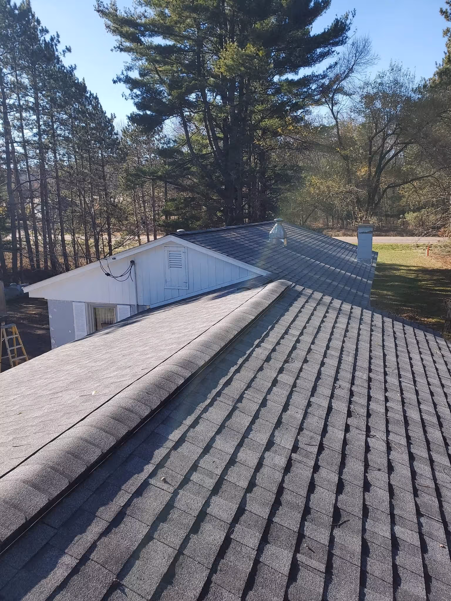 Gray shingled roof of a house surrounded by tall trees under a clear sky.